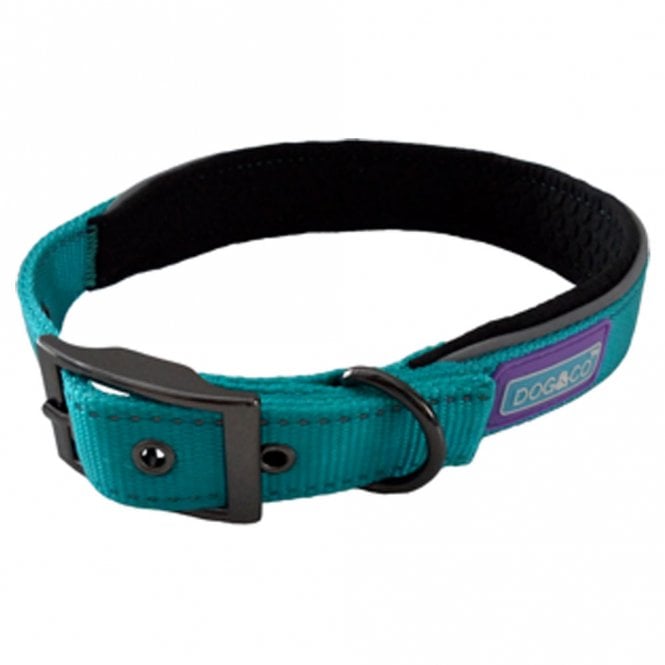 Hem and 2024 boo dog collar