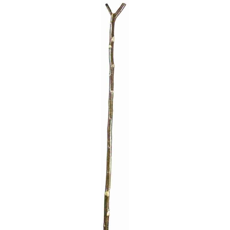 Classic Canes Hazel Thumbstick Walking Stick