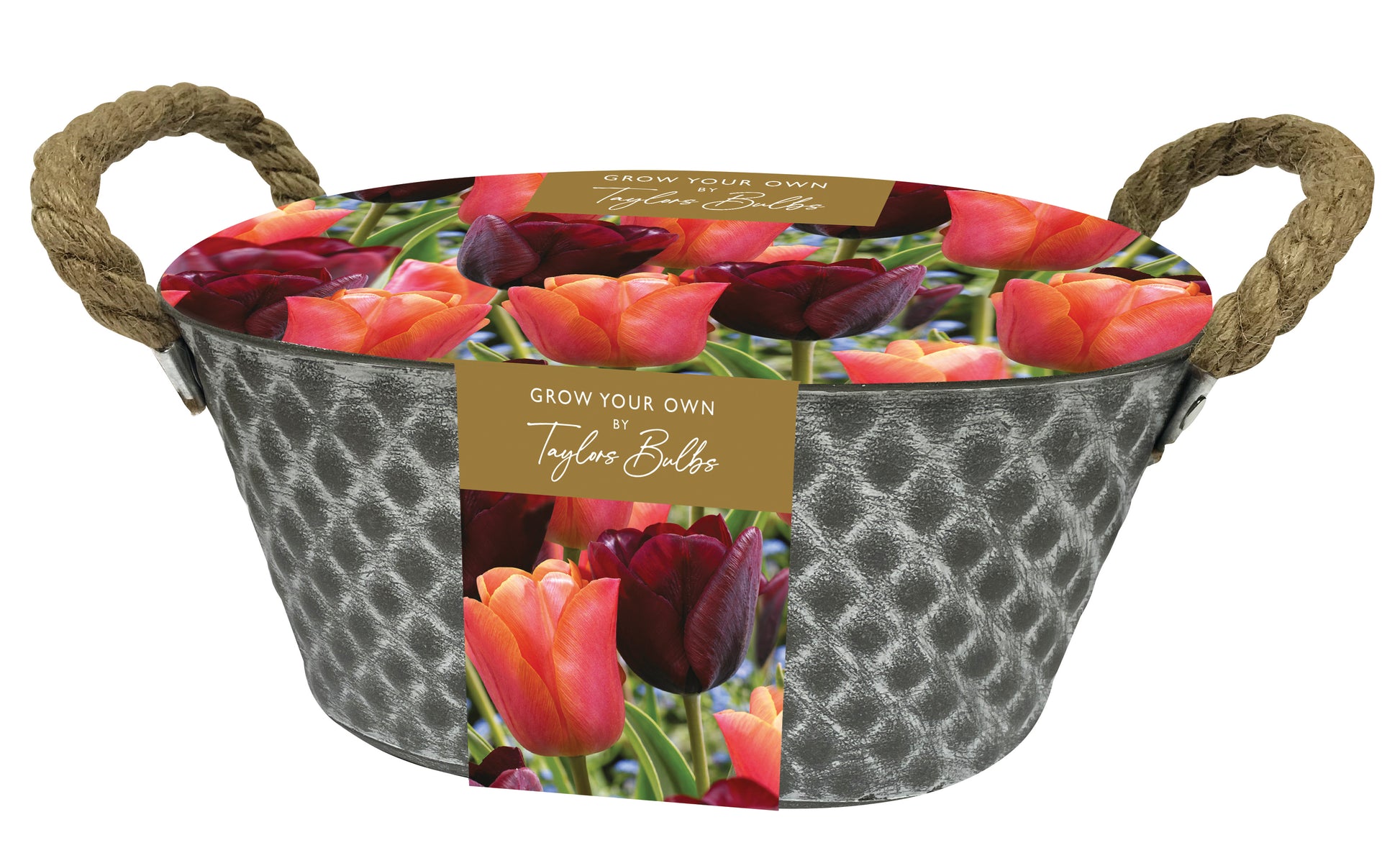 Outdoor Metal Tulips Trough