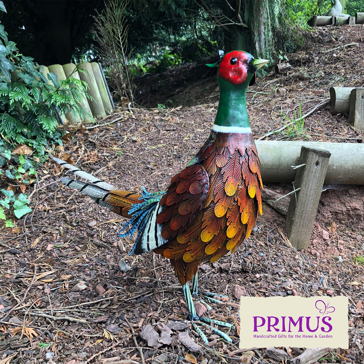 Primus Woodland Metal Ring Necked Pheasant