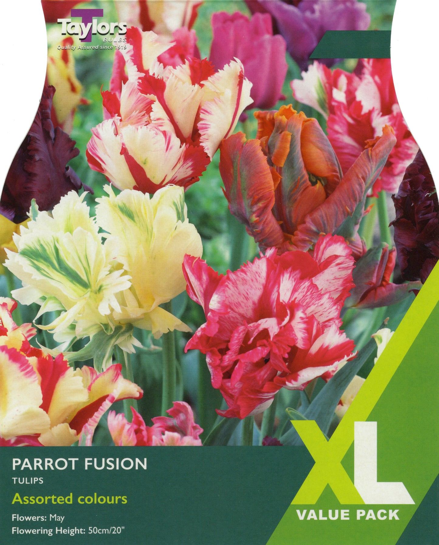 XL Value Pack Tulip Parrot Fusion