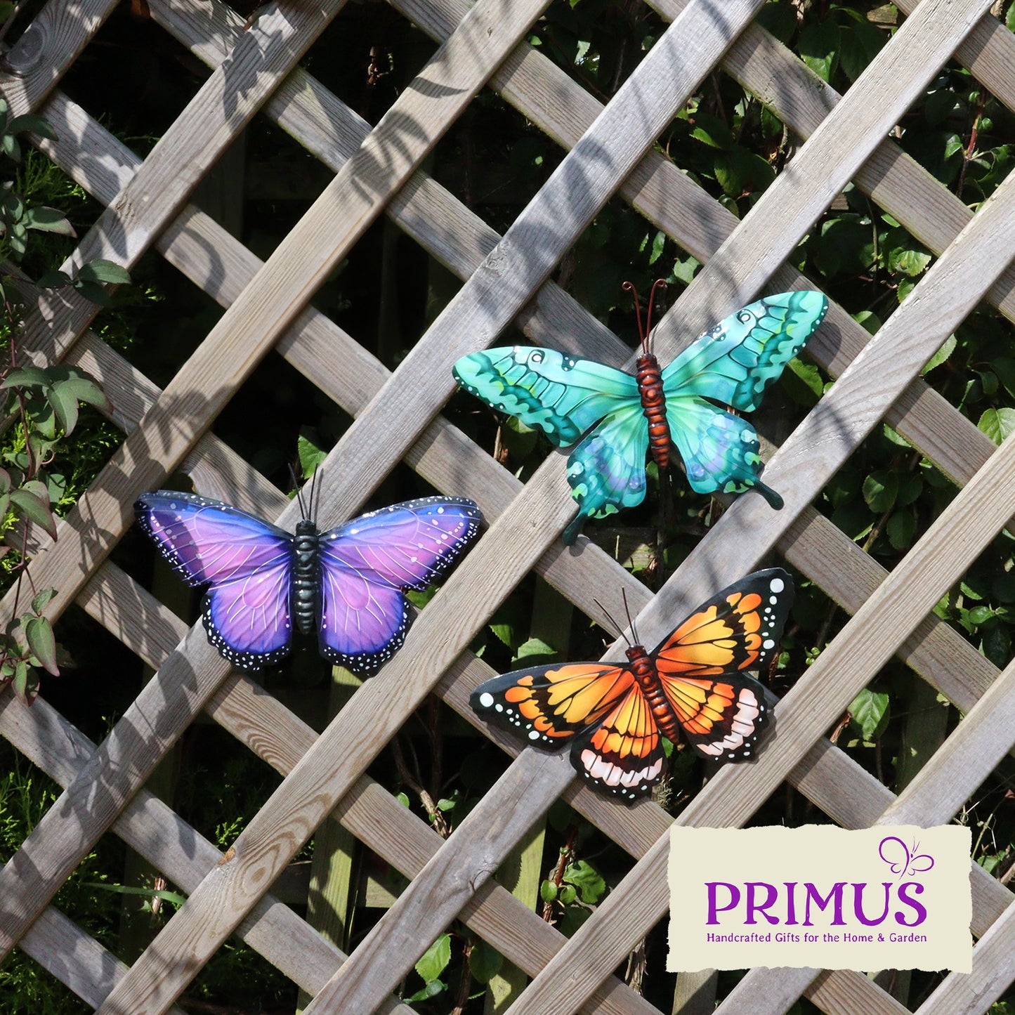 Primus Purple Orange & Cyan Set of 3 Small Metal Butterfly Wall Art