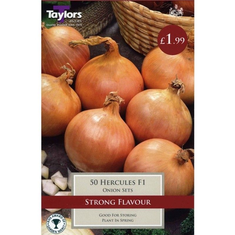 Taylors Bulbs 50 Hercules F1 Onion Set