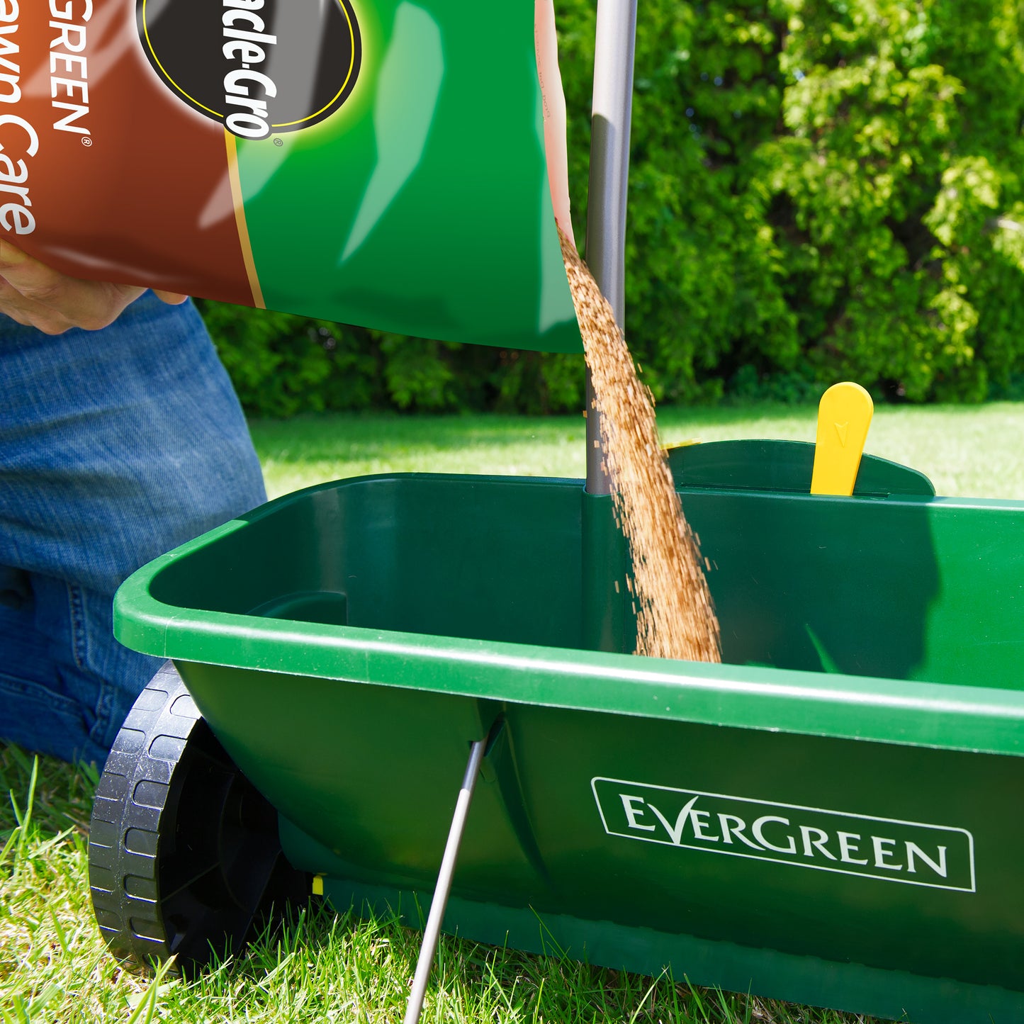 Miracle-Gro Evergreen Autumn Lawn Care Carton 4.2kg +20% Extra Free