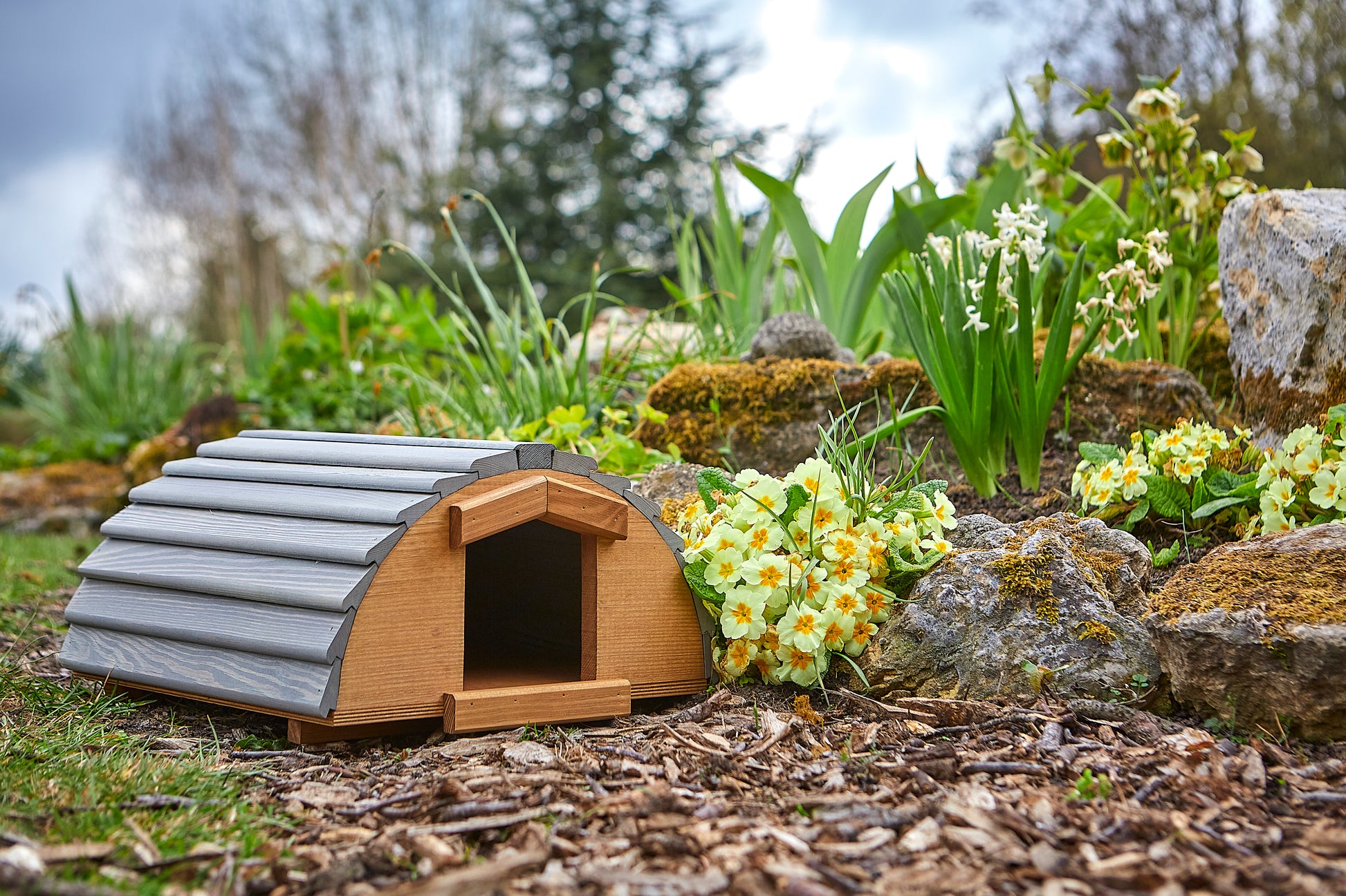 Tom Chambers Vermont Hedgehog House